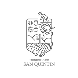 Logo 11