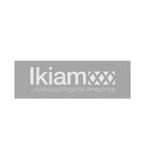 Logo 13