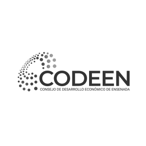 Logo 14