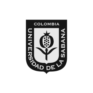 Logo 15